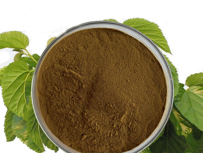 Mulberry Leaf Extract powder.jpg