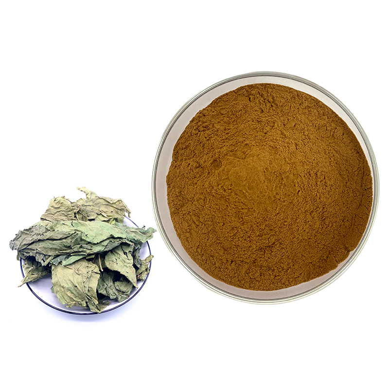 Mulberry Leaf Extract powder2.jpg