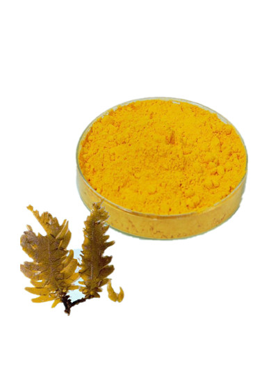 fucoxanthin extract.jpg