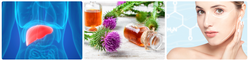 Milk Thistle Extract.png