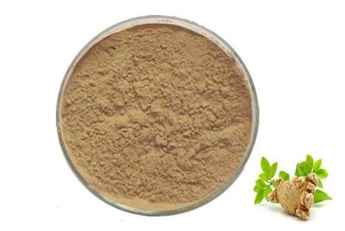 Notoginseng Extract Powder.jpg