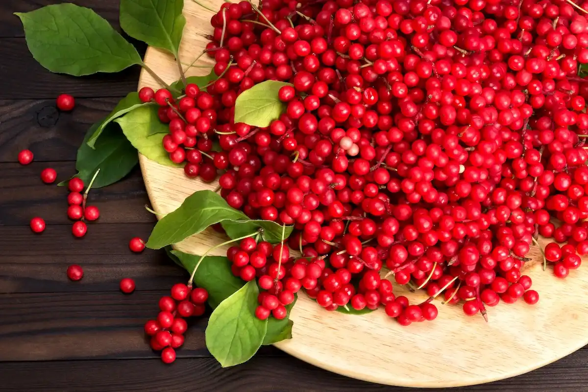 Schisandra_Berries.webp