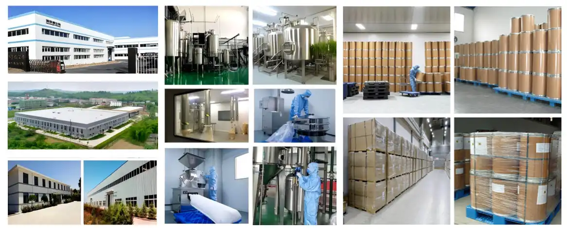 factory_副本.jpg factory_副本.jpg