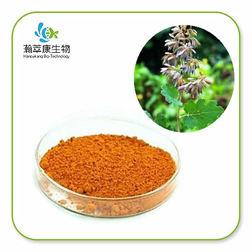  Macleaya cordata extract factory