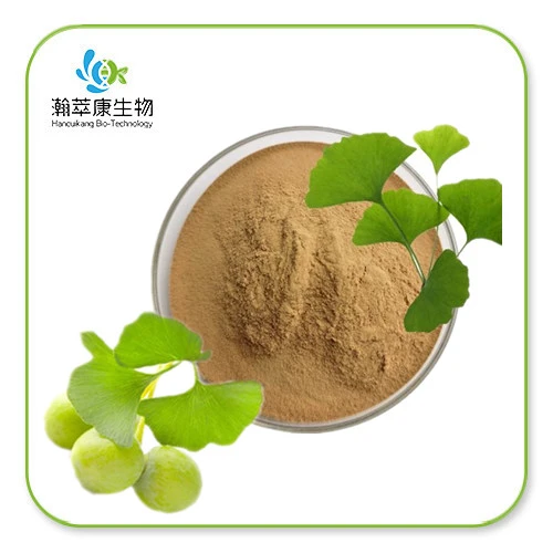 Ginkgo Biloba Extract  powder manufactury