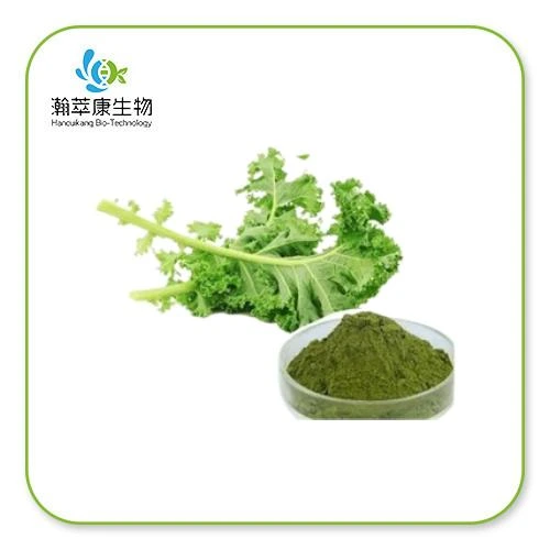 Kale Extract Powder